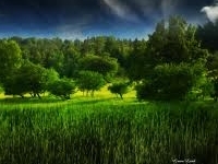 Going_Green