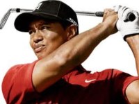 AN30-1-spotlight-woods