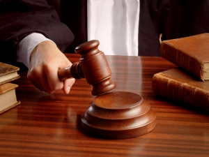 AN31-3-spotlight-judge2