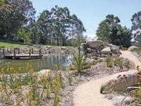 AN32-4-Natural Pools