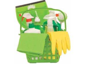 AN33-HSKPG-Green Cleaning