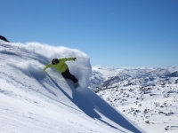 AN38-1-Events-Perisher-1