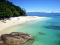 AN39-1-IND-Tropical-NQ