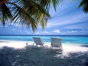 AN41-2-news-Holiday
