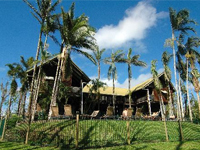 Treehouse Hostel
