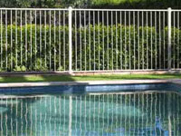 Pool Fence