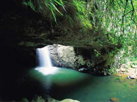 QLD National PArk