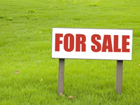 an49-2-news-for-sale