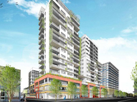 201-DN-Tangcheng Adelaide