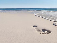 Footprint in Sand