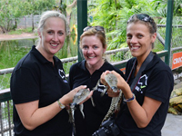 an50-1-bloggers race-Crocodylus Park Darwin