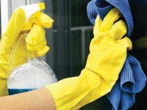 AN51-2-HK-Green Cleaning