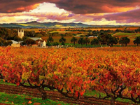 Barossa Valley