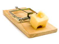 Mouse trap