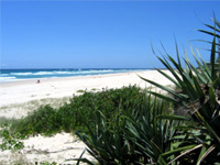an51-1-DN-kingscliff