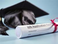 Graduate Job Application