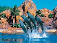 Sea World