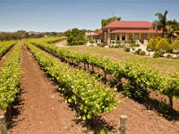 AN54-5-DN-Barossa Shiraz Estate