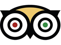 Triadvisor Owl
