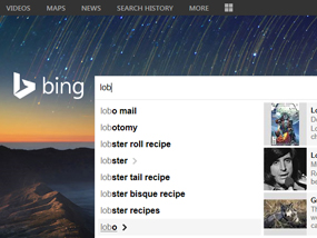 an57-4-bing-tripadvisor-large