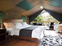 Ikara Safari Camp