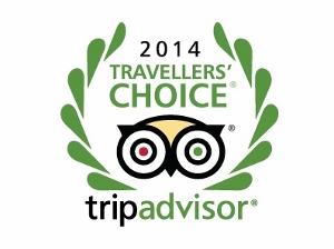 AN63-3-survey-Tripadvisor-Travellers-Choice-award-logo 300x224