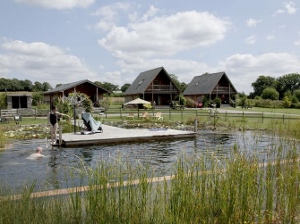 AN68-4-news-natural-swimming-pool 300x224