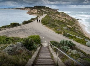 AM69-3-DN-Point Nepean national park 300x223