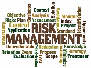 AMGAU49-Management-Risk Management 300x225