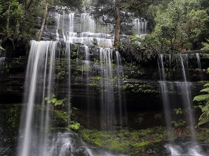 AN70-3-news-Tasmania Russel Falls 300x224