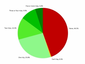 Graphic-1a 300x225