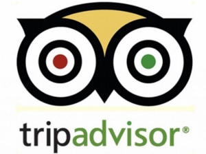 AN72-3-news-TripAdvisor logo 300x224