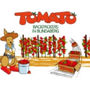 AN63-2-DN-Tomato-Backpackers