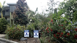 Wyndham Coffs Harbour gardens2