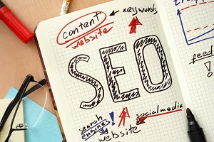 AN 81 wk2 SEO 2