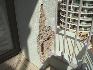 RN233-FEATURES-Balconies image 2