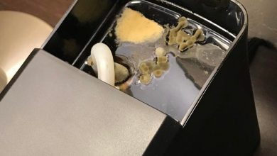 Photo of Grounds for disgust: What lurks in your coffee machine?