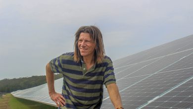 Photo of Schwartz ups accom’s sustainability game with $10 million solar farm