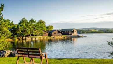 Photo of Expedia sparks alarm with new inspection regime