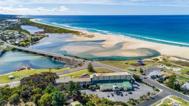 Photo of New Crown for Sydney as Tassie veteran gets facelift