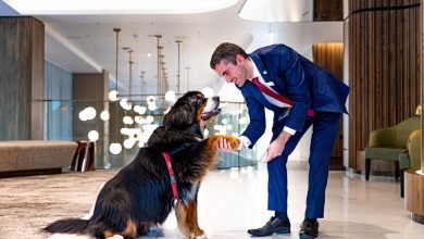 pet-friendly hotel