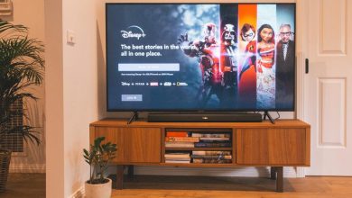 Disney +