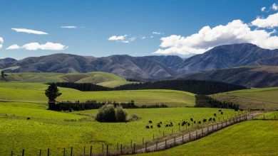 New Zealand