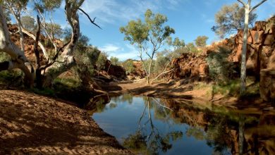 Outback tourism