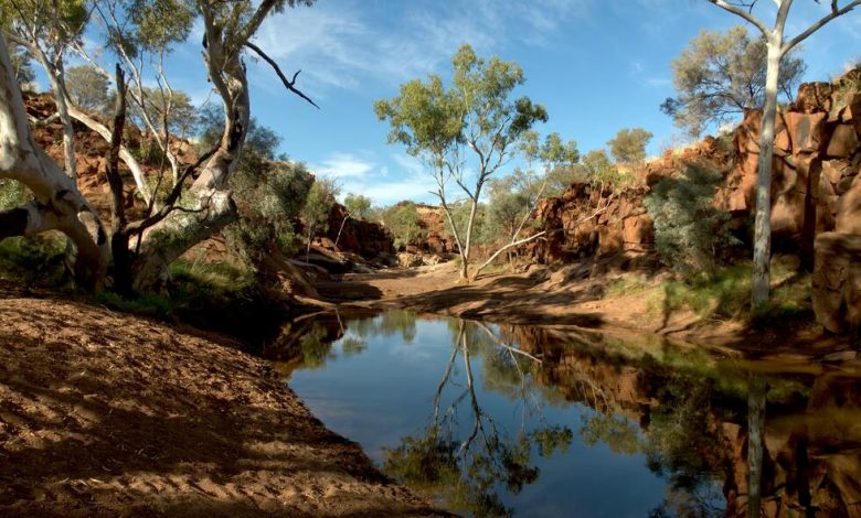 Outback tourism