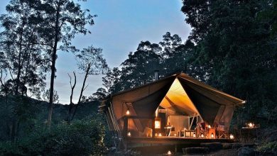 Nightfall Camp