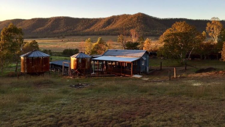 The Grain Shed