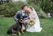 Weddings bride groom and dog