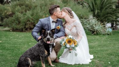 Weddings bride groom and dog