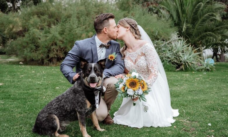 Weddings bride groom and dog